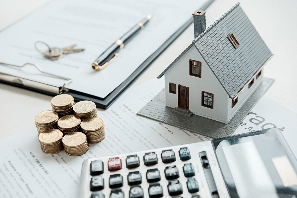 government loans
